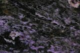 Purple Polished Charoite Slab - Siberia #129076-1